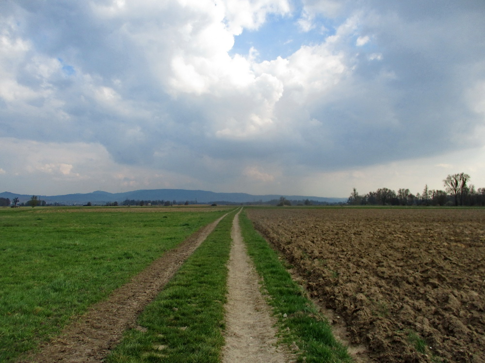 07.JPG