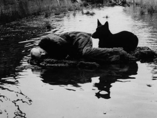 2. Stalker (1979) Andrei Tarkovski.jpg