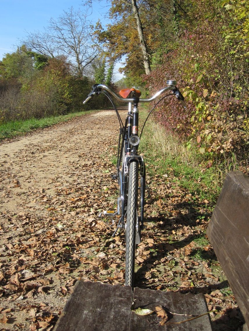 2016-11-01 23a Canal de Huningue Peugeot Paris.jpg