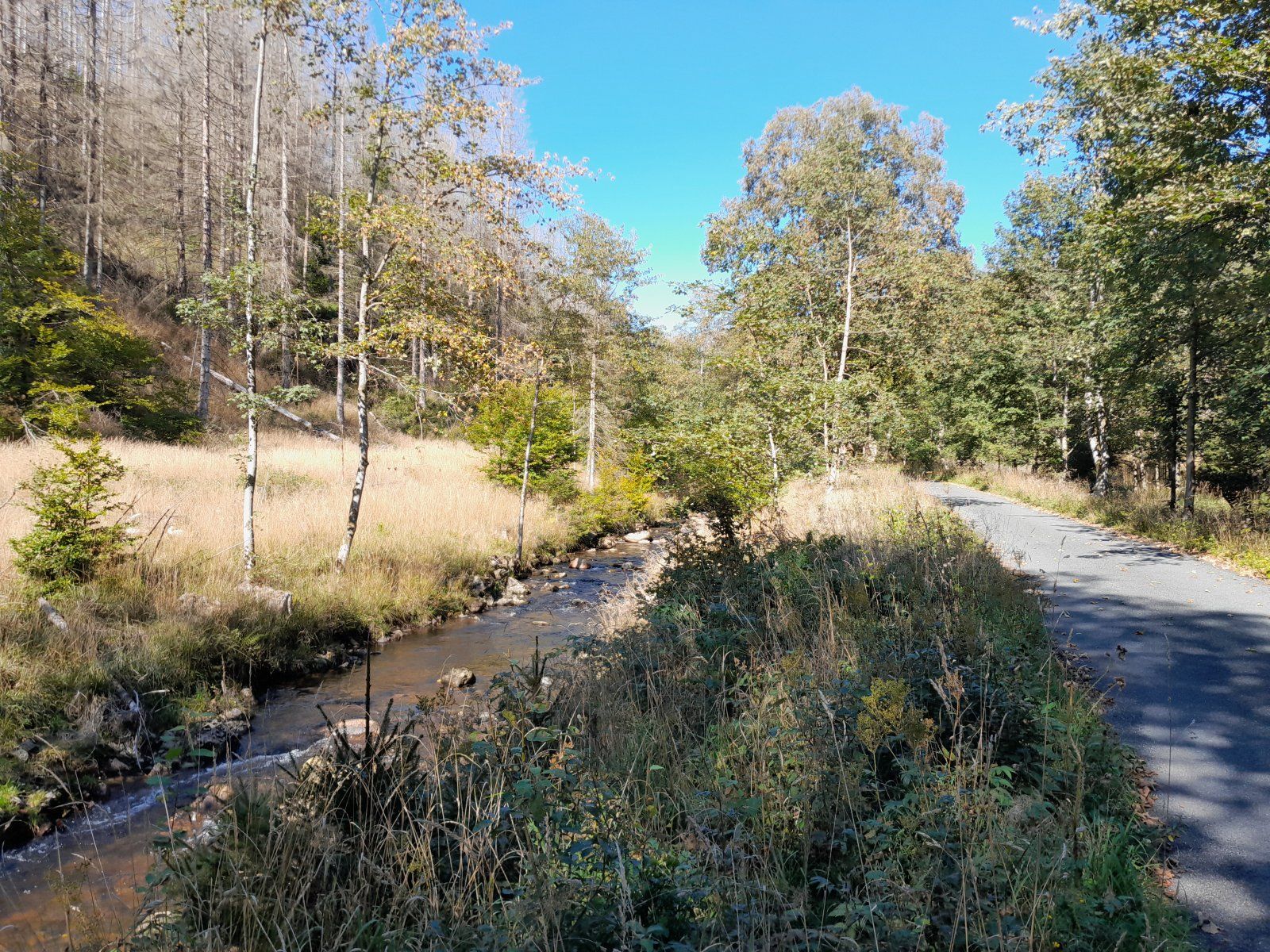 20230916_132748.jpg