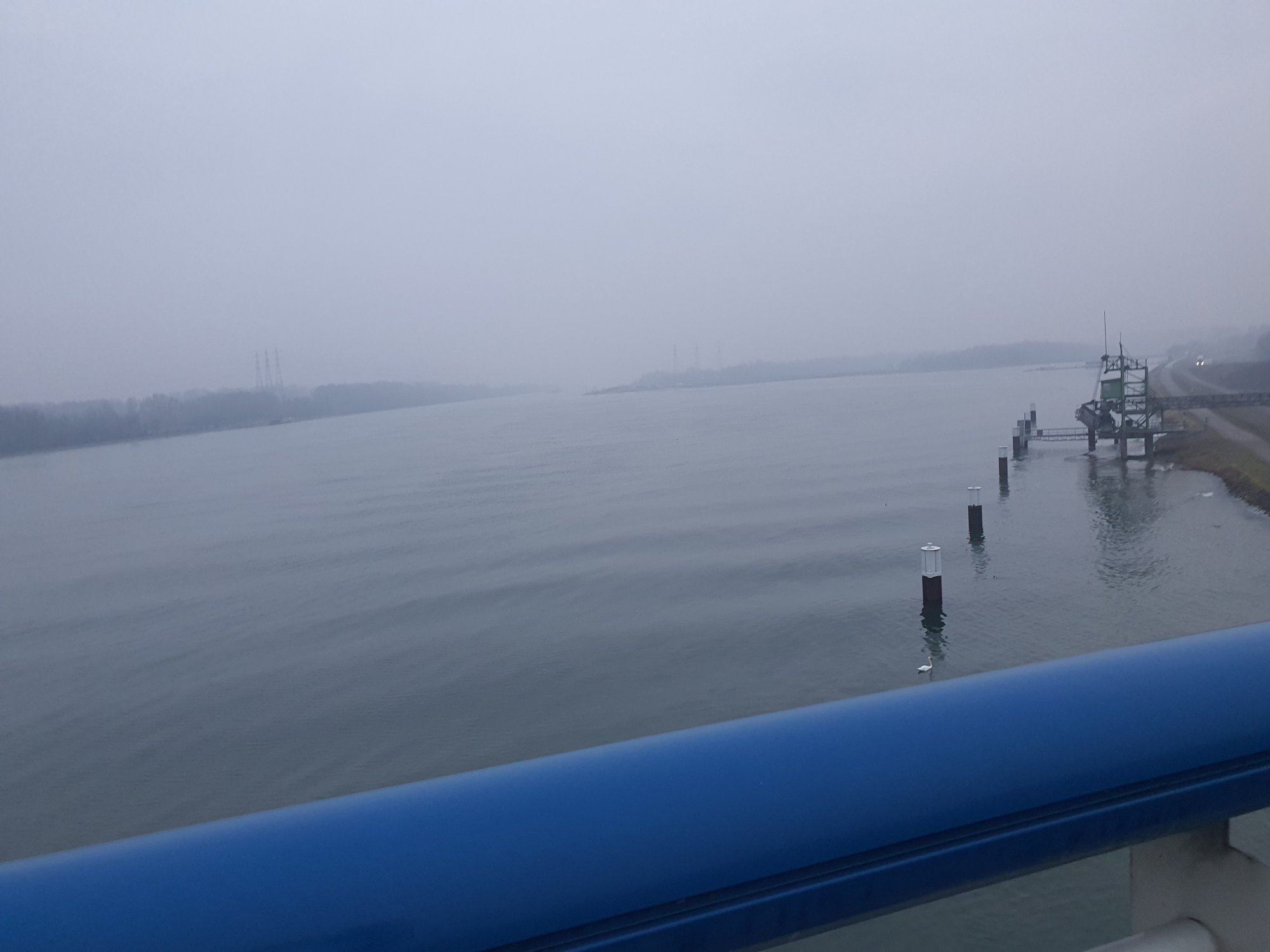 20250210_081148.jpg