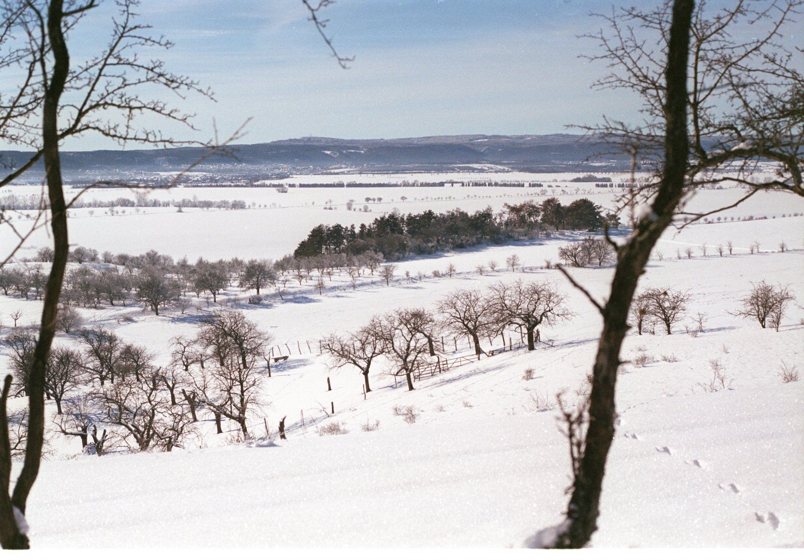 21.2.1 Schnee sewecken09.jpg