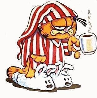 444921_266124963_garfield-morgen_H075708_L.jpg