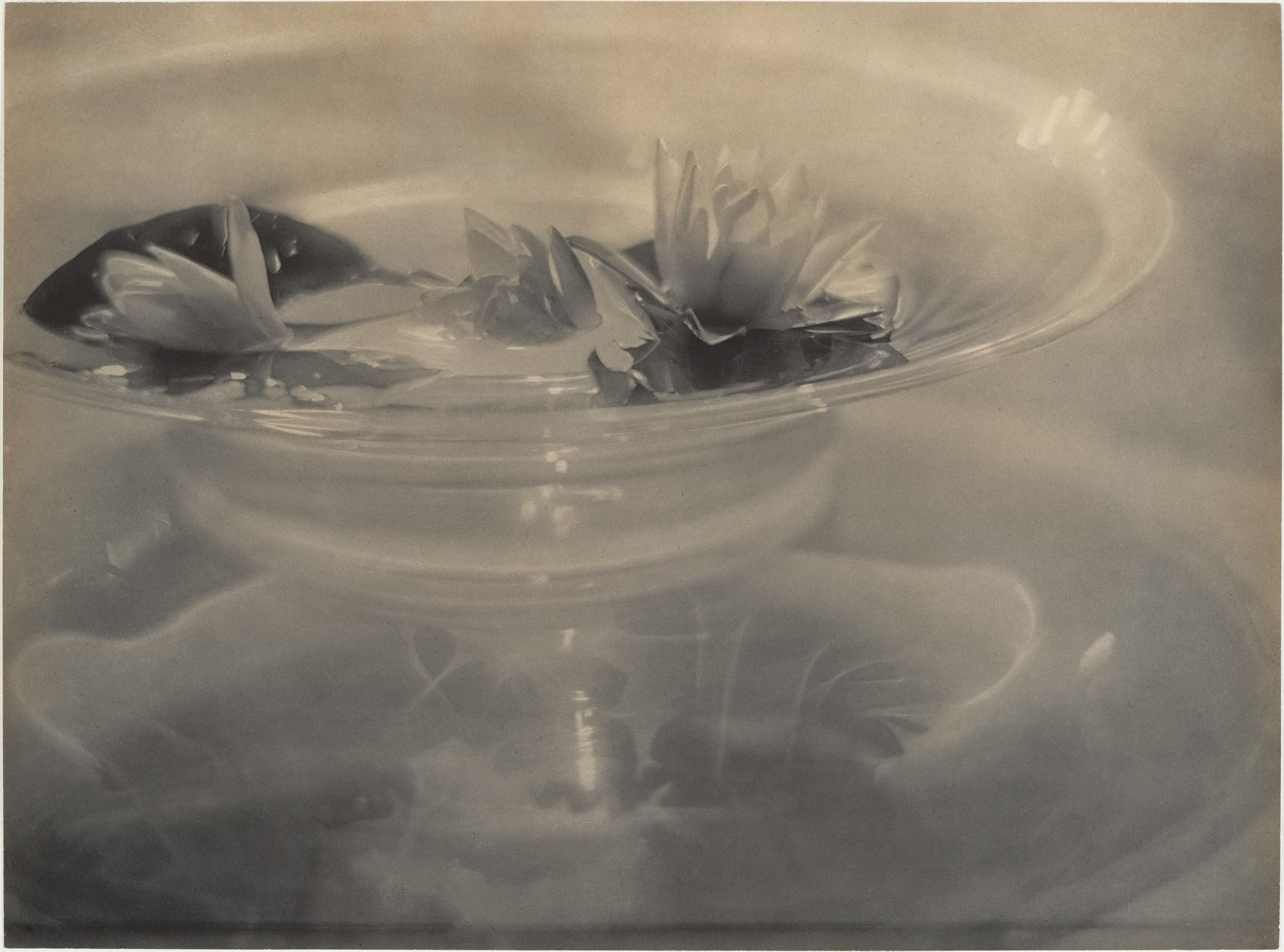 Adolf de Meyer - Water Lilies (c. 1906, printed 1912, Platinum print).jpg