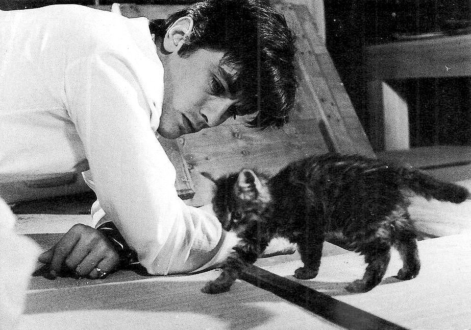 Alain Delon & Friend - Les Félins (Joy House) (1964).jpg