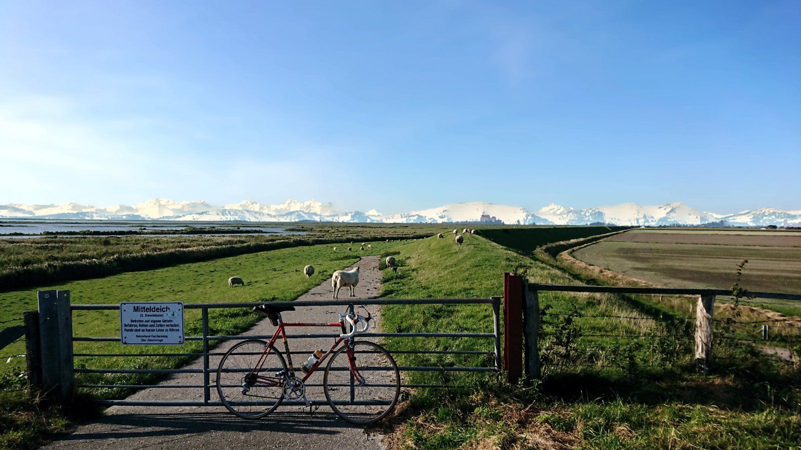 Alpenblick.jpg