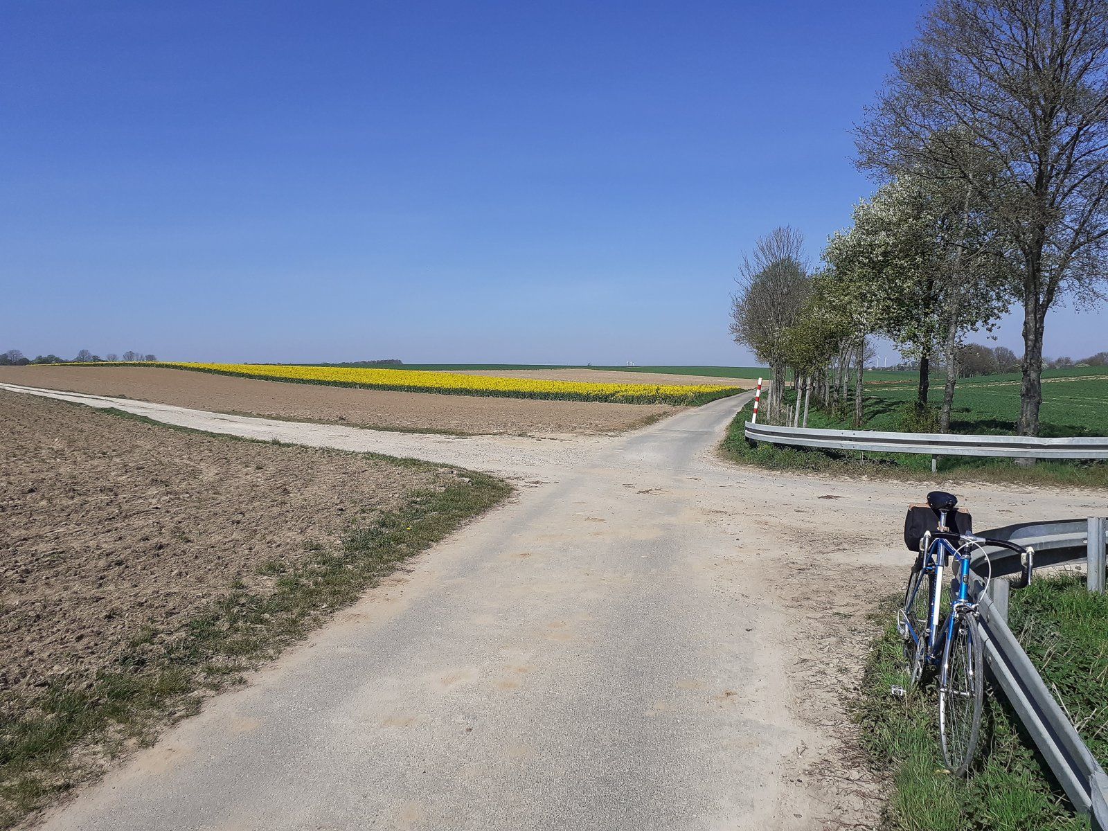 Am Beeck Fließ mit viel Gelb.jpg