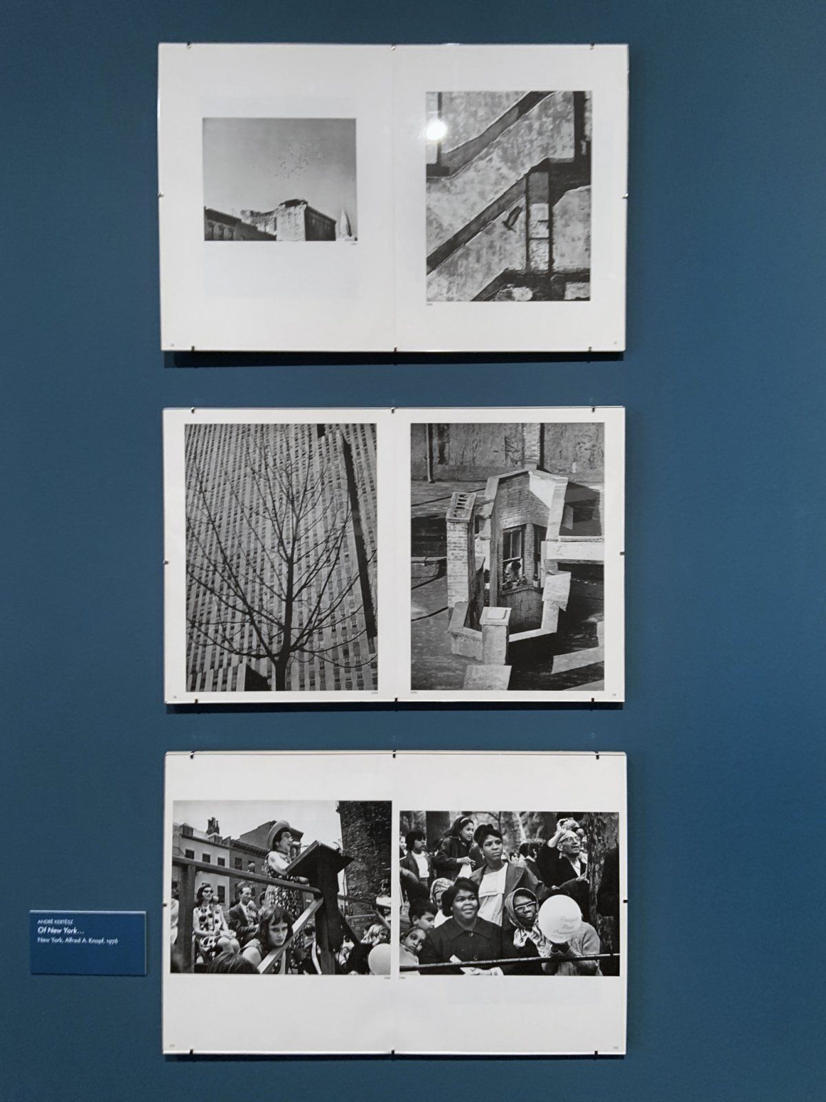 André Kertész - Of New York… (installation view, New York, Alfred A. Knopf, 1976 - Photo by M...jpeg