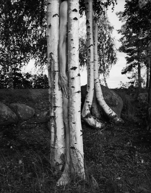 Arno Rafael Minkkinen - Väisälänsaari, Finland, 1998.jpg