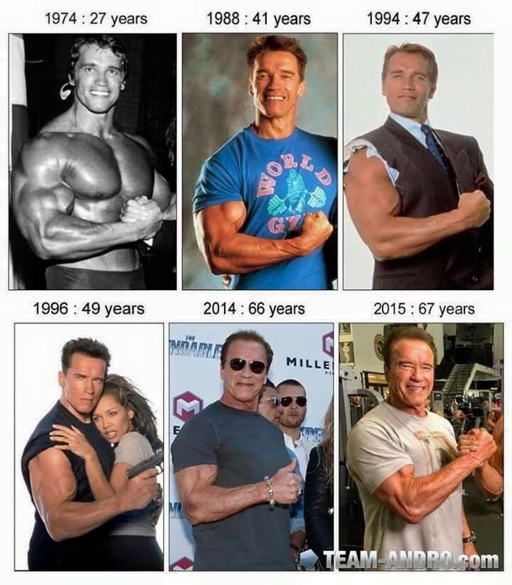 Arnold1.jpg