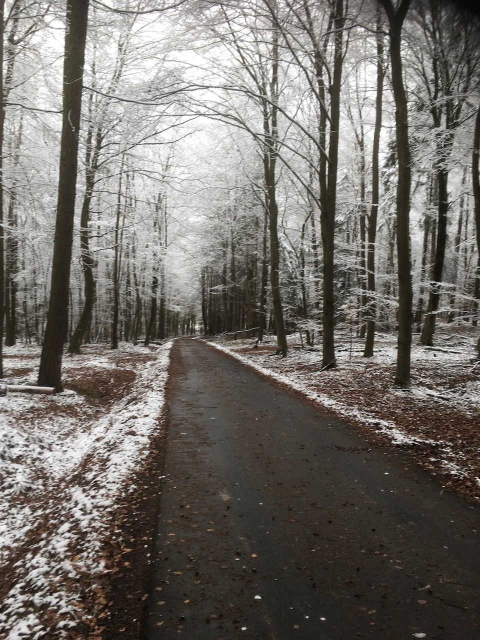 Ausfahrt 105km mit Giedeon Scheinregen - 5.jpeg