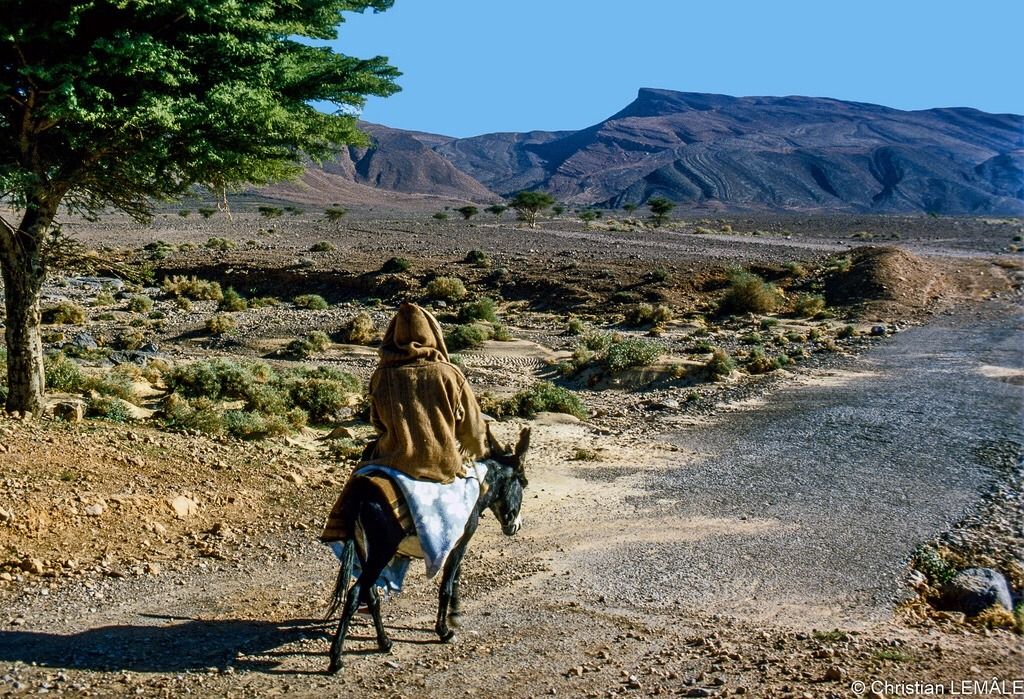 Béchar - Algérie (1980).jpg