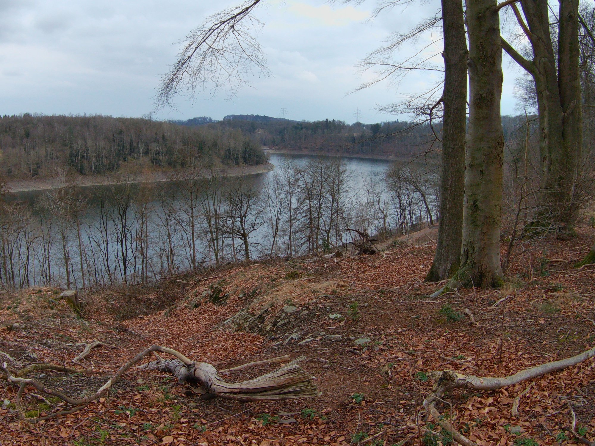 B0040010.JPG