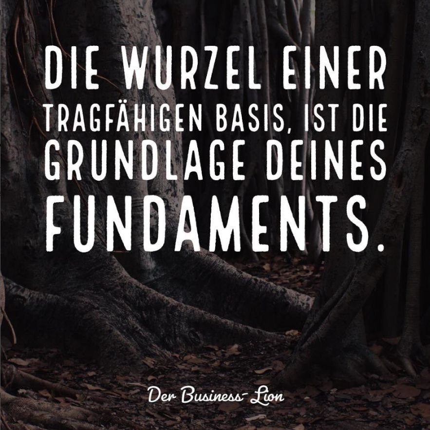 Basis Grundlage Fundament Wurzel .JPG