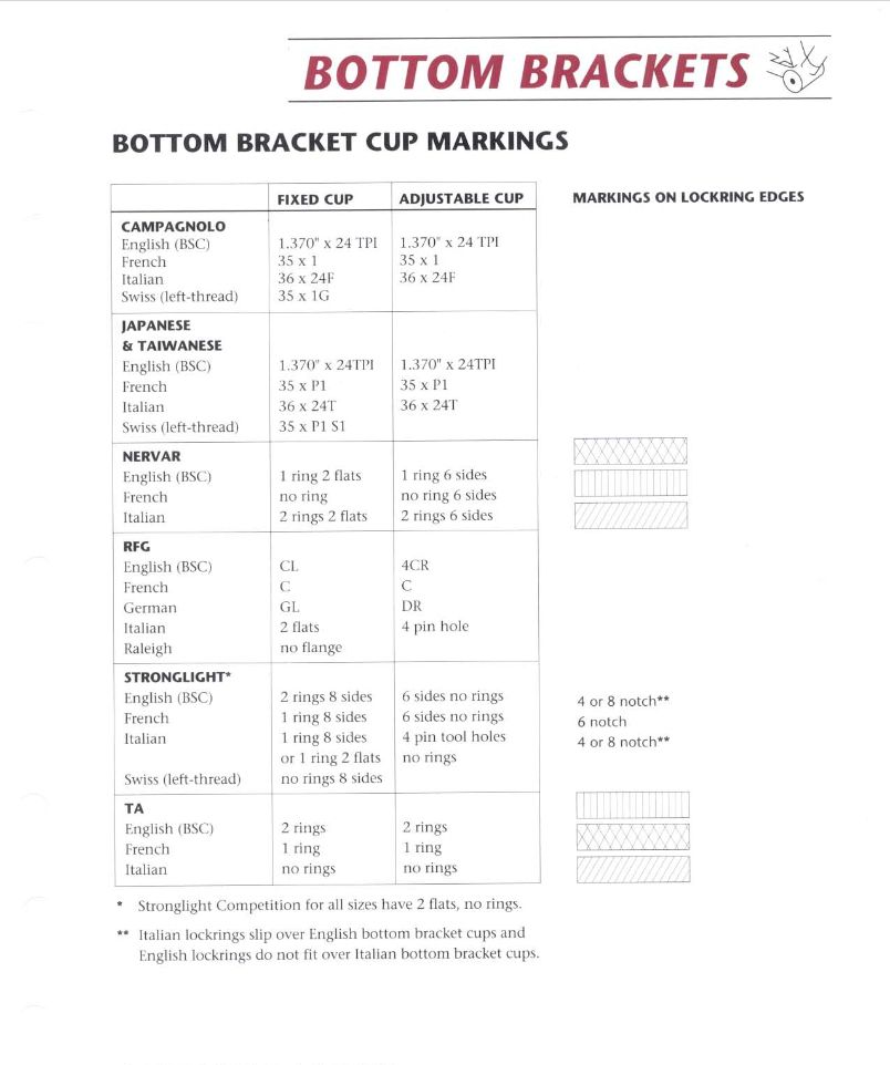 BB-Cup-Markings.jpeg