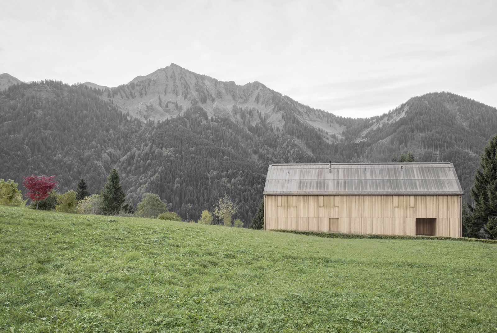 Bernardo Bader architects Haus am Sturcher Wald (8).jpg