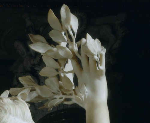 Bernini, Apollo and Daphne (Detail), 1622-25.png