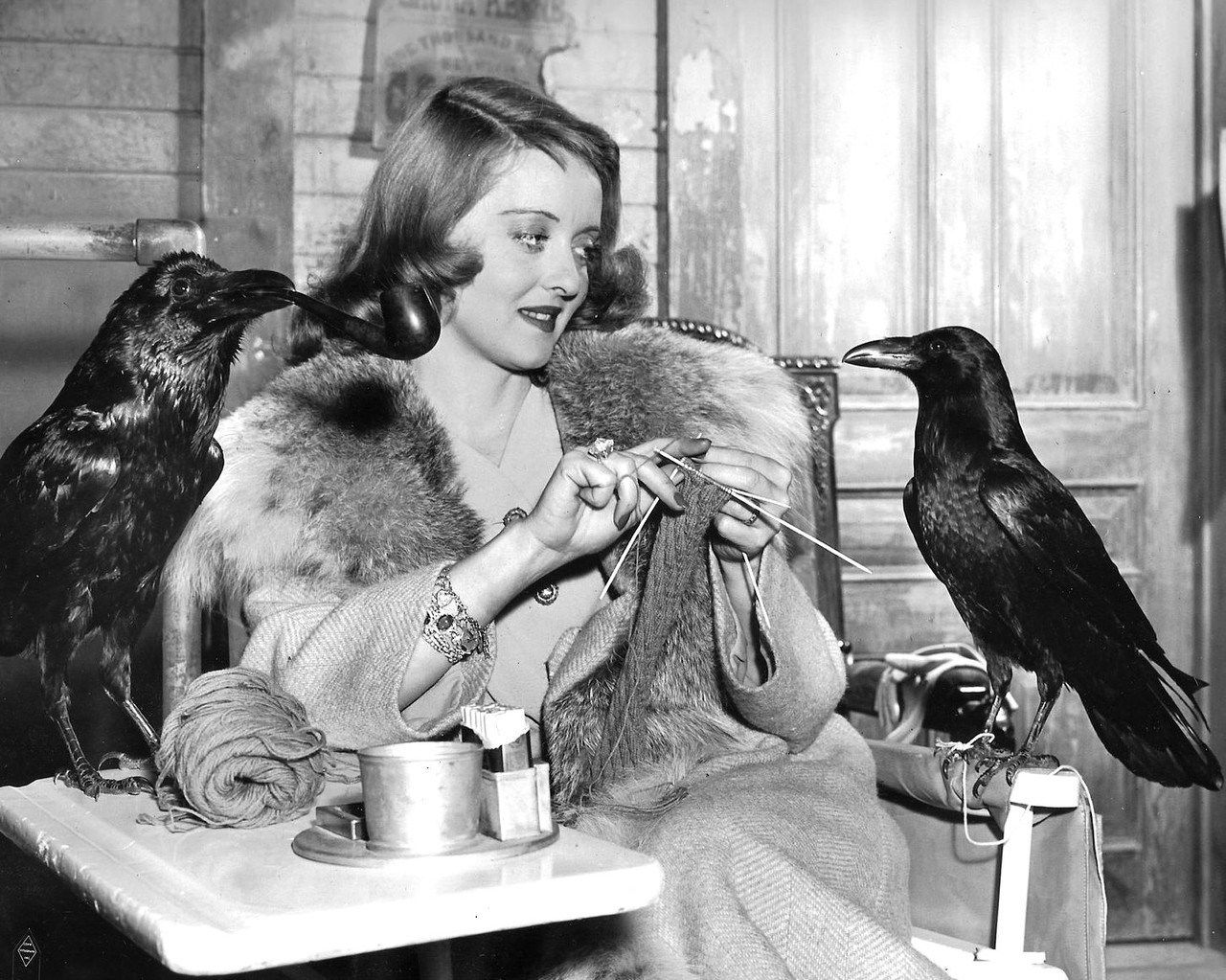 Bette Davis & Friends - The Bride Came C.O.D. (1941).jpg