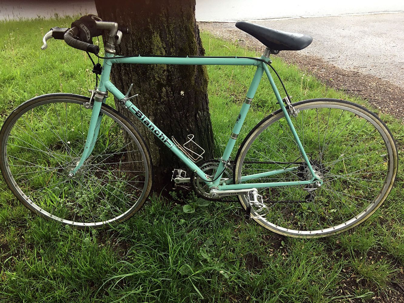 Bianchi 0 _1000.JPG