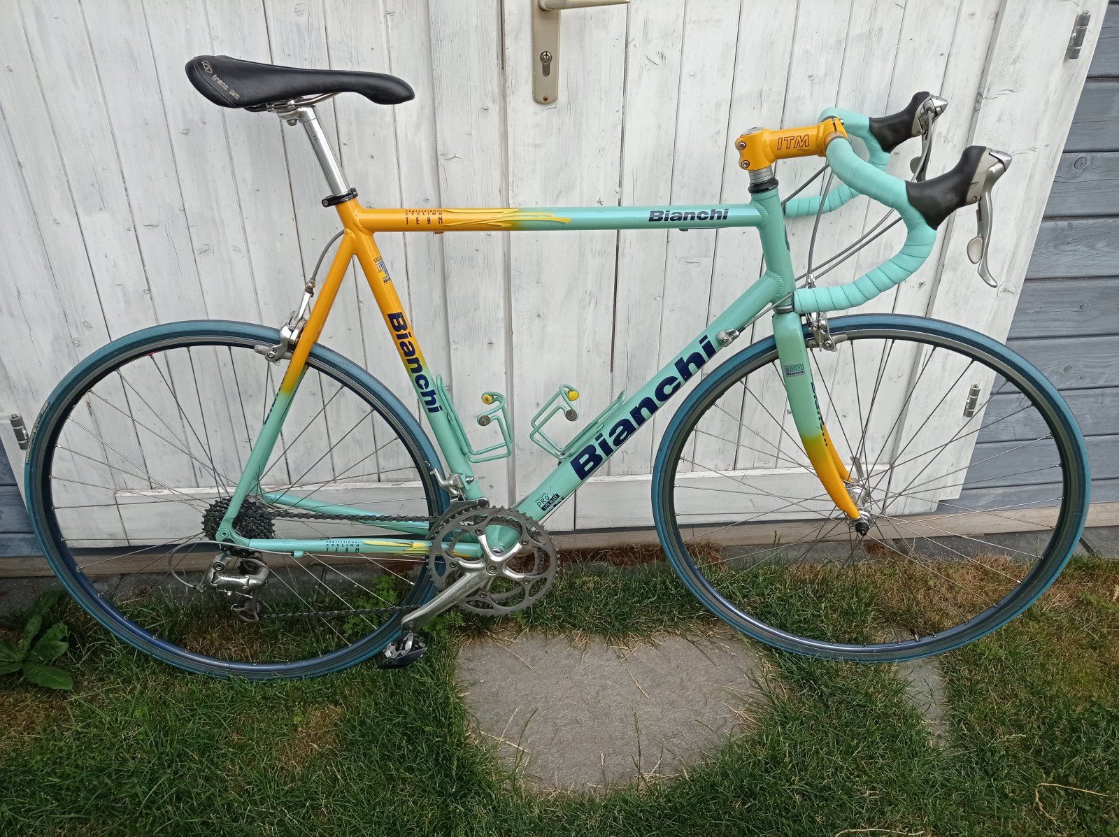 Bianchi MegaPro L.jpg