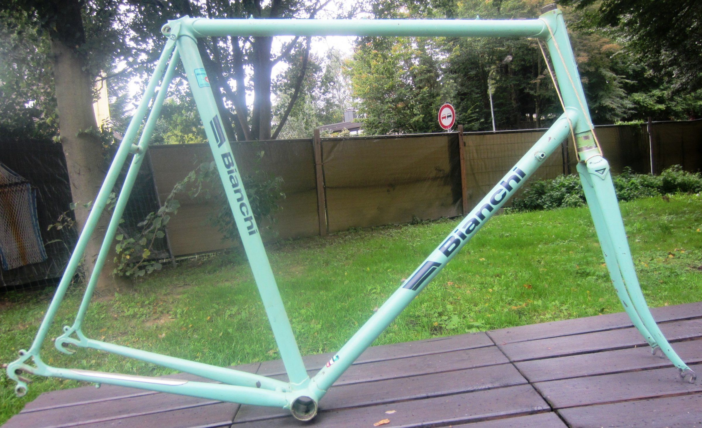 Bianchi Rahmen2.JPG