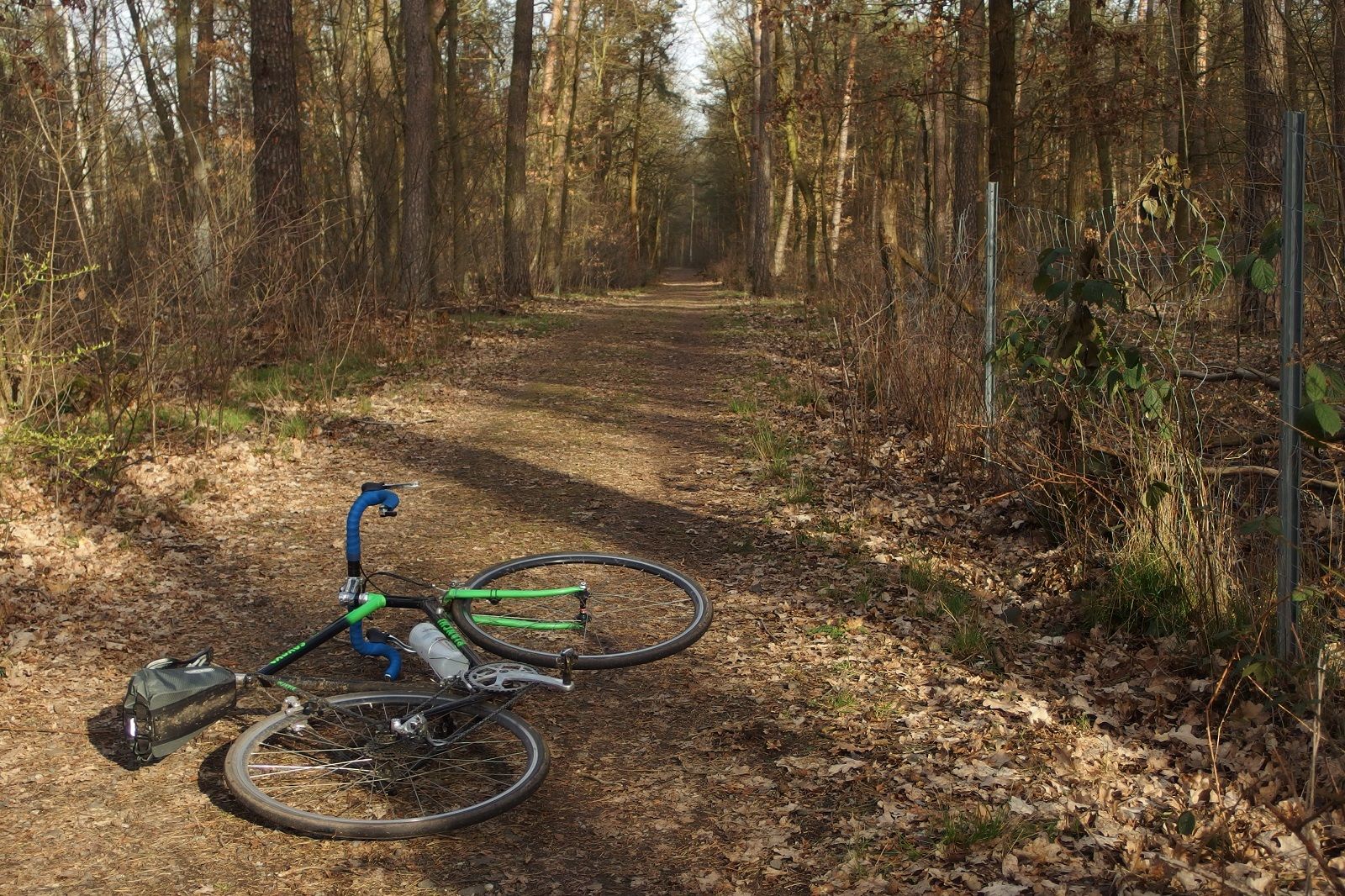 Bianchi_Jobst_Gravel_04.jpg