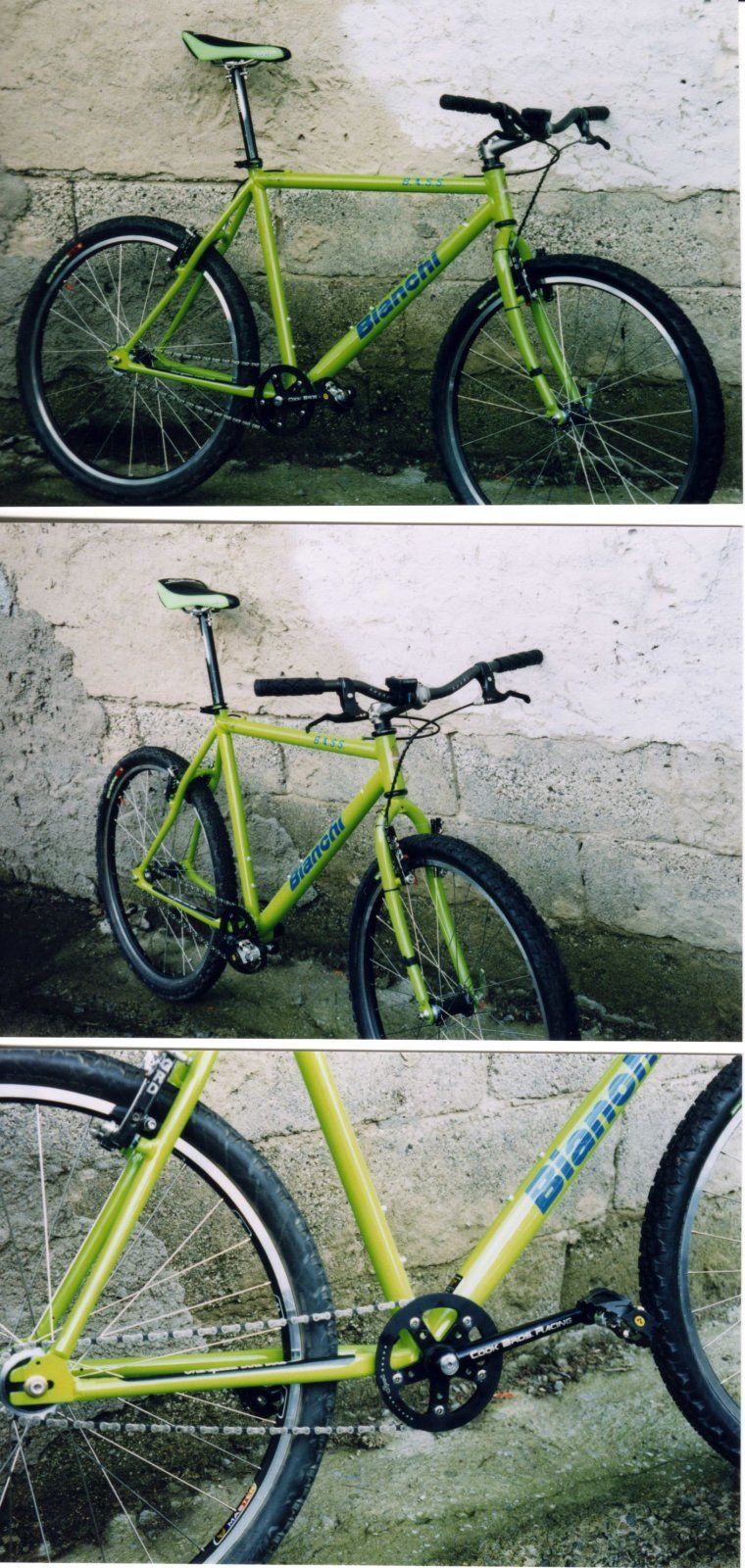 BianchiBass1.jpg