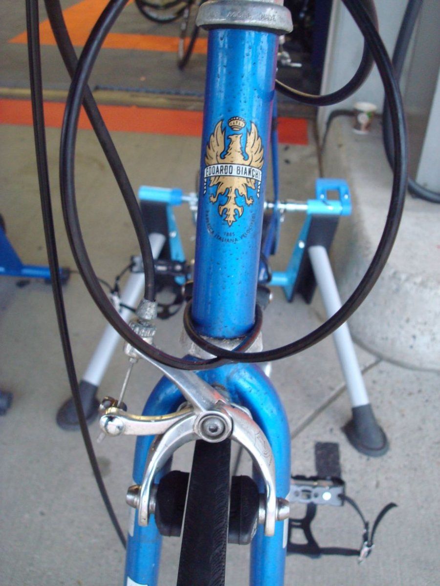 Bianchibleu3.jpg