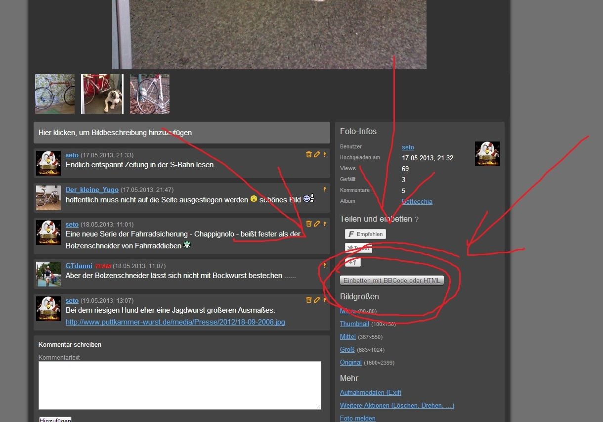 Bilder_einbetten.jpg