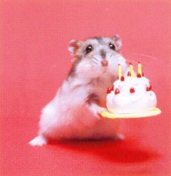 birthday mouse.jpeg