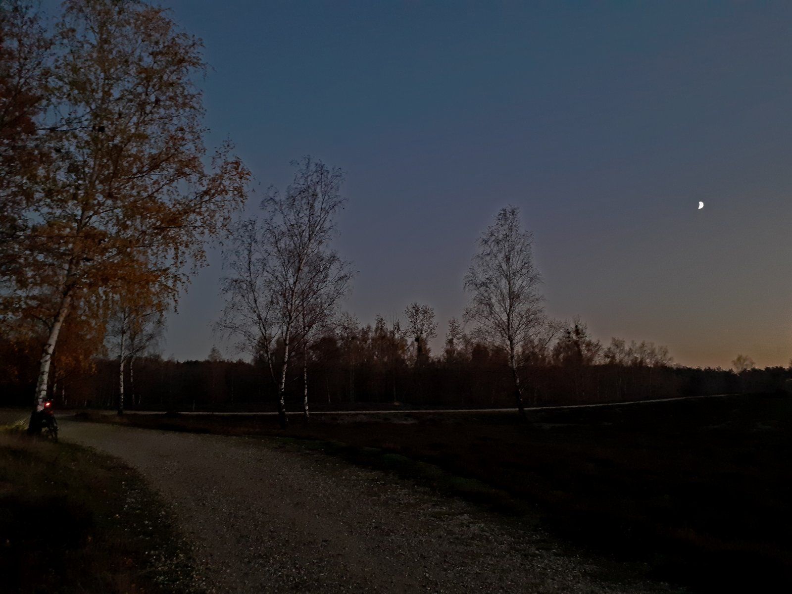 Blaue Stunde in der Heide.jpg