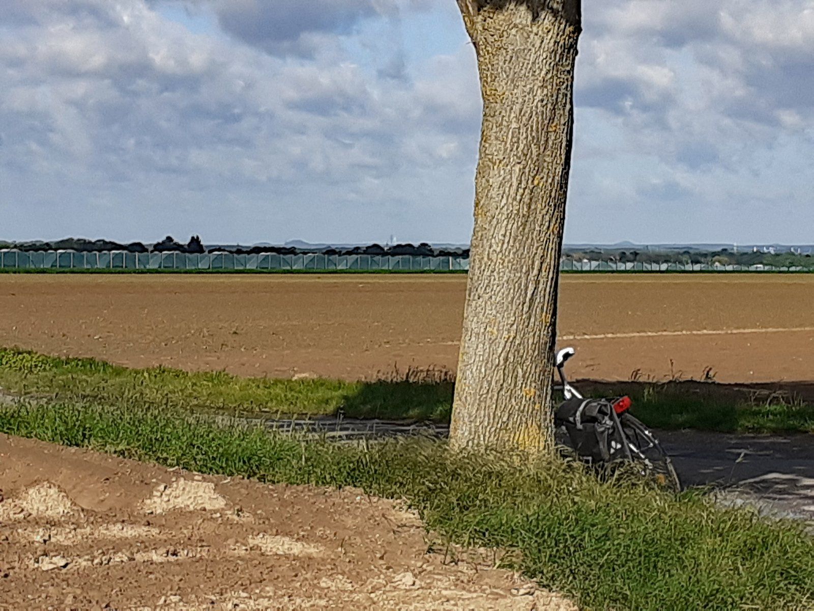 Blick ins nordostbelgische Steinkohlerevier von Havert, An Reijans, aus.jpg