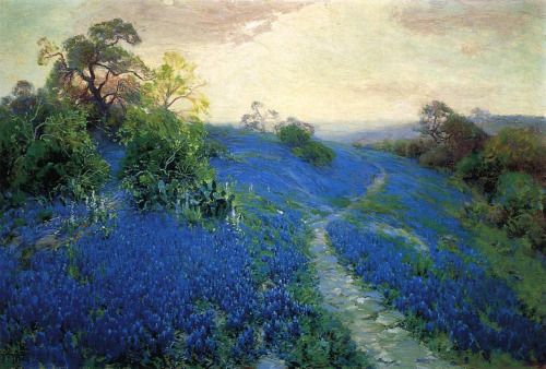 Bluebonnet Field (1912).jpg