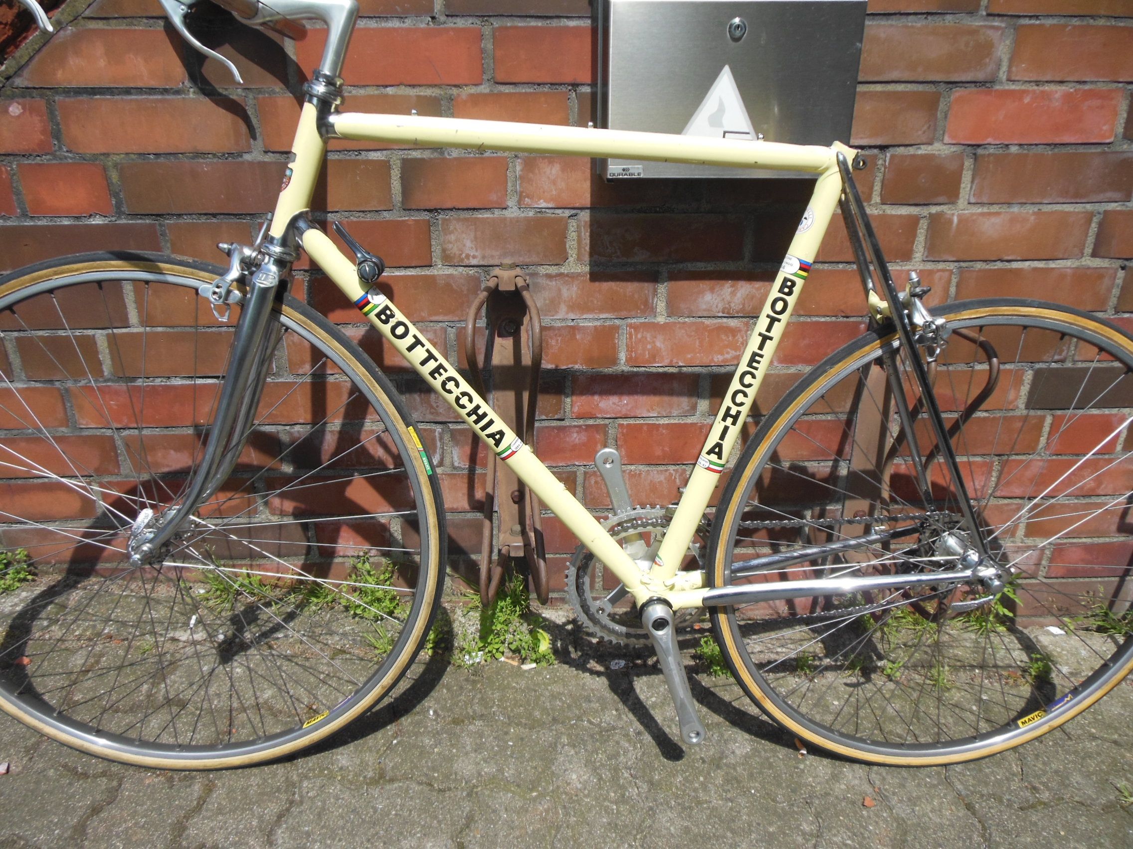 bottecchia 001.jpg