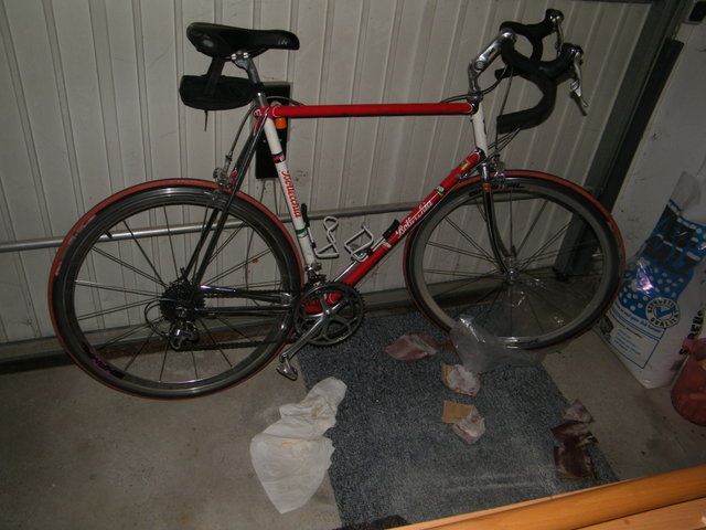 bottecchia.jpg