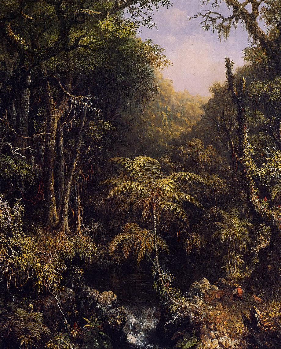 Brazilian Forest - Martin Johnson Heade(1864).jpg