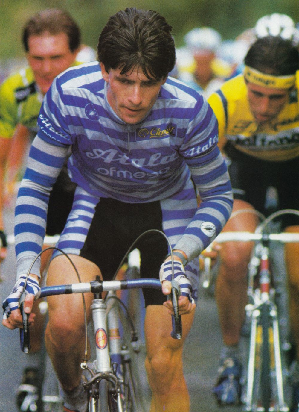 bugno-atala.jpg