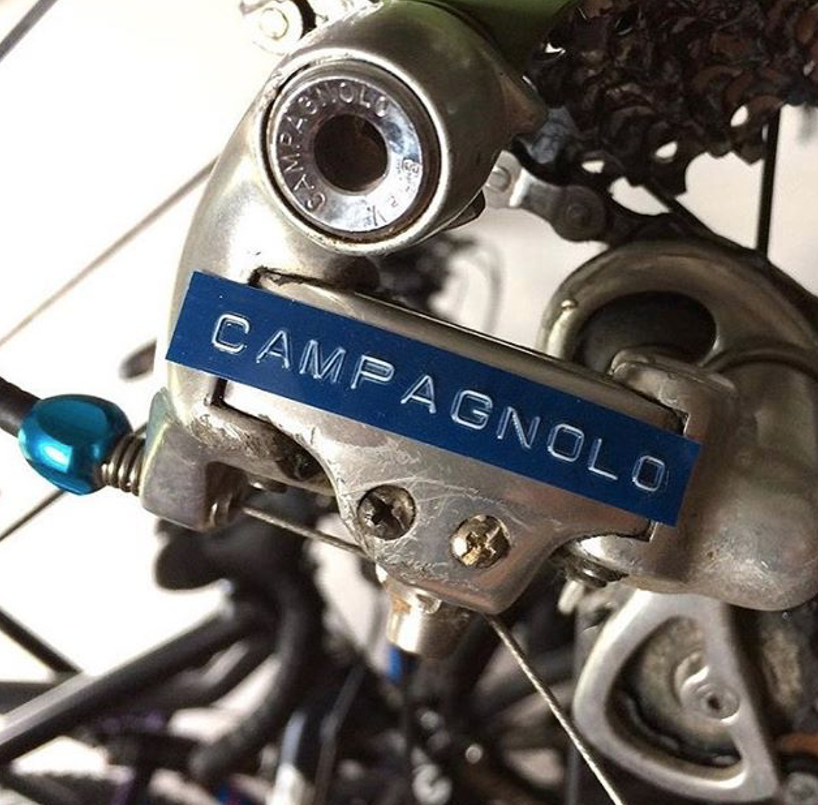 Campag NOLO.png