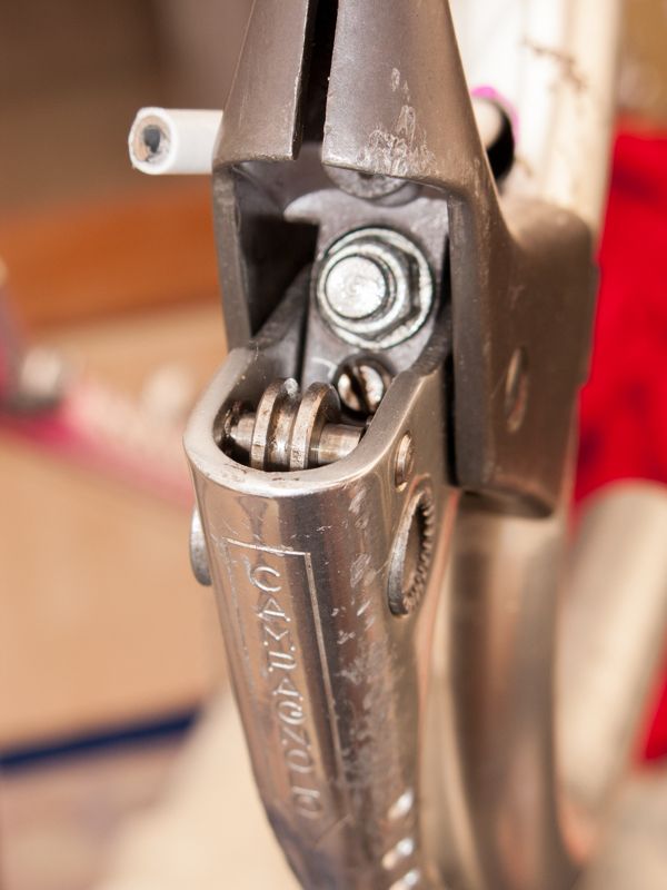 campagnolo nuovo record aero brake levers  3.jpg