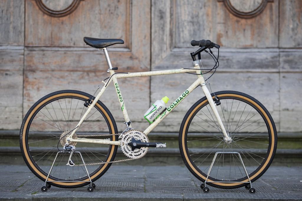 Colnago Deluxe Olympus (2).jpg