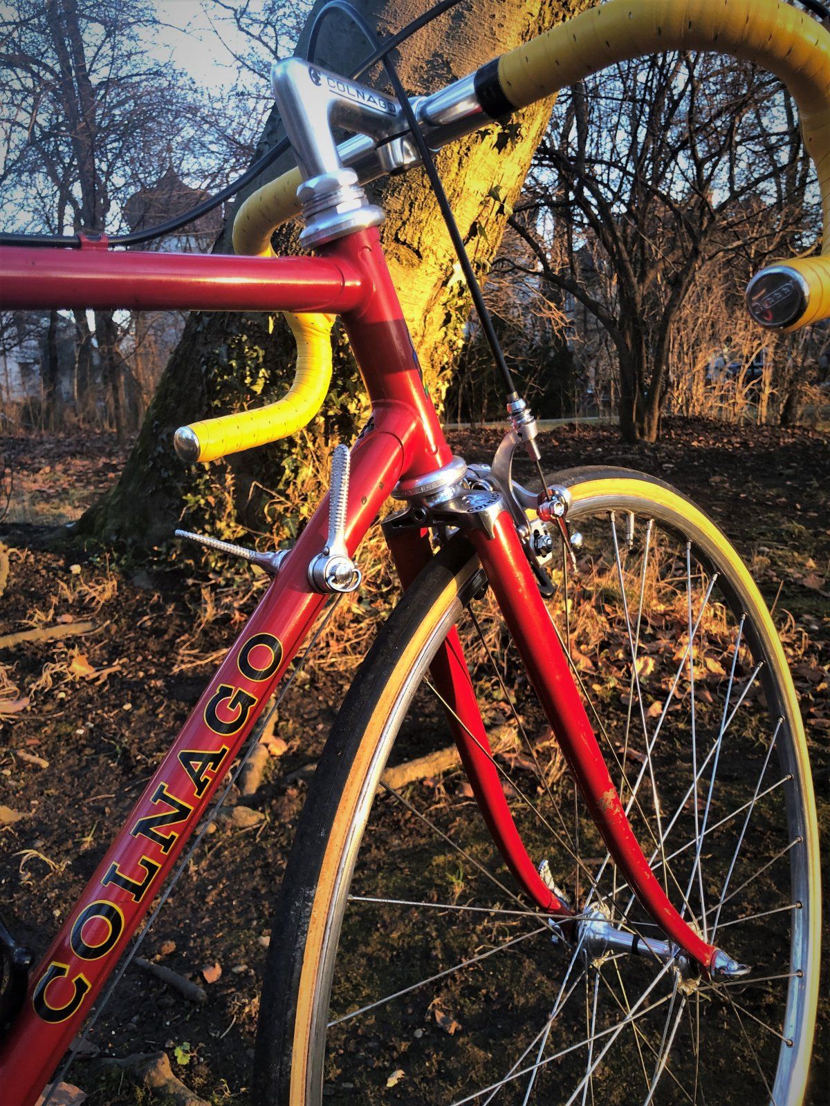 Colnago Mexico 7.jpg