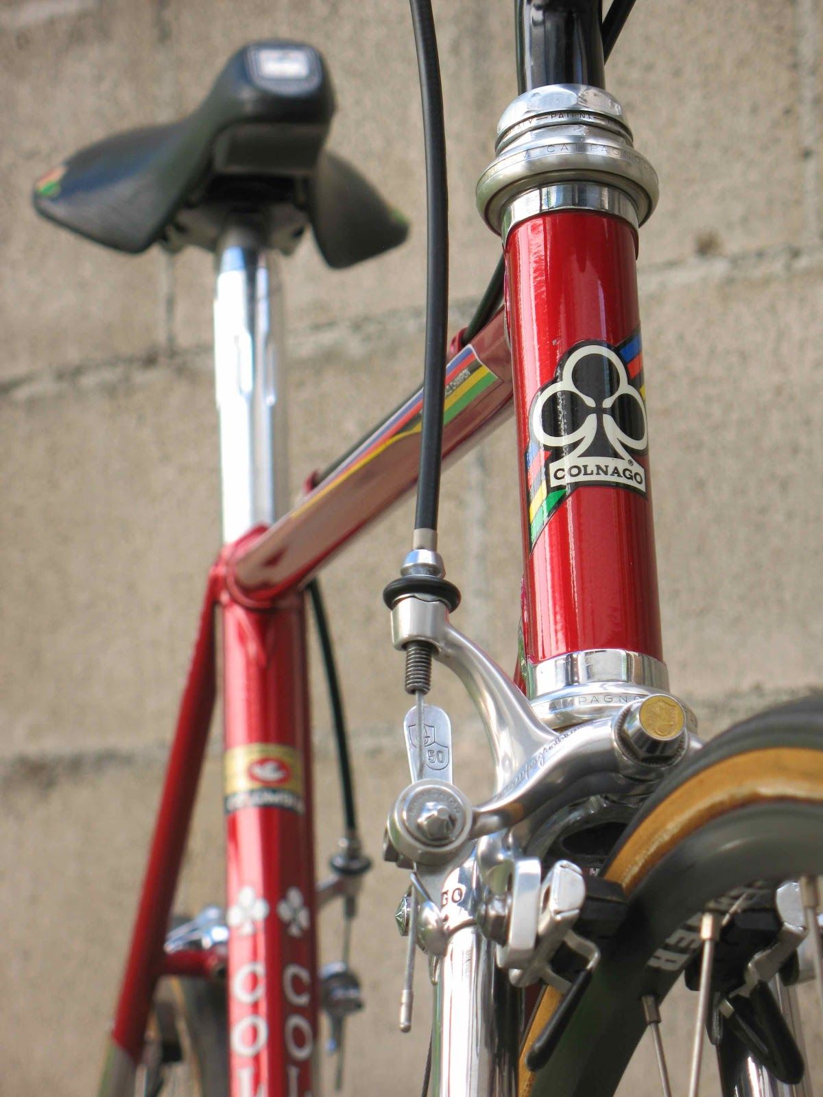 colnago02.jpg