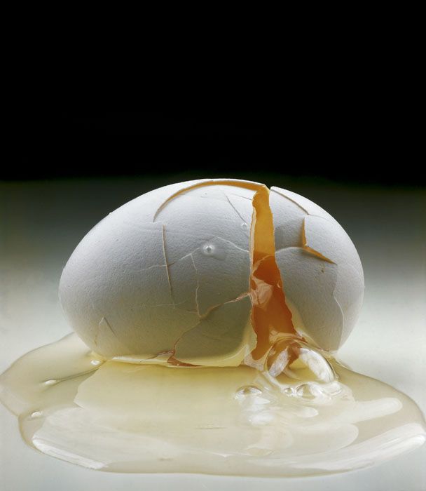 Cracked Egg by Irving Penn, 1958.jpg