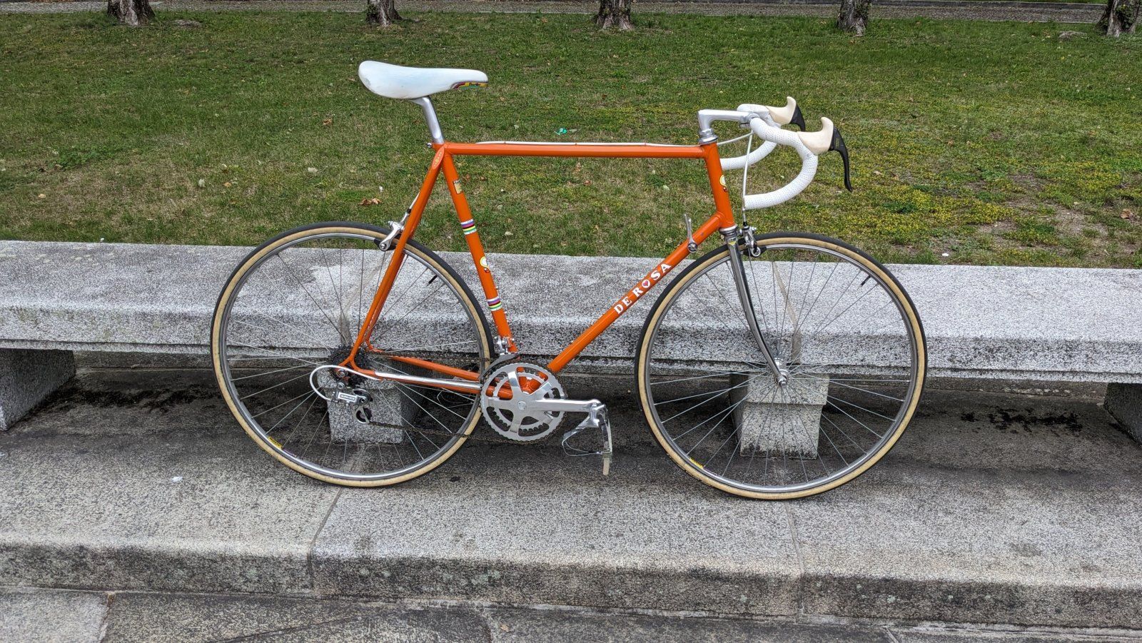 De Rosa Orange_00.jpg