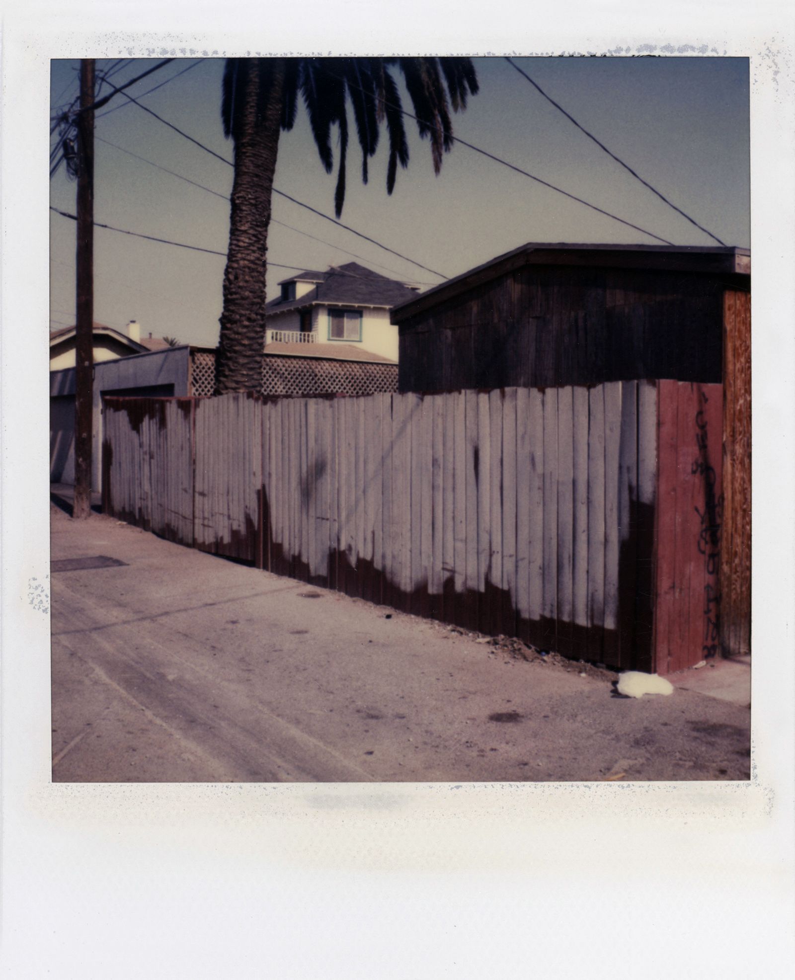 Dennis Hopper - Los Angeles, Back Alley (1987).jpg