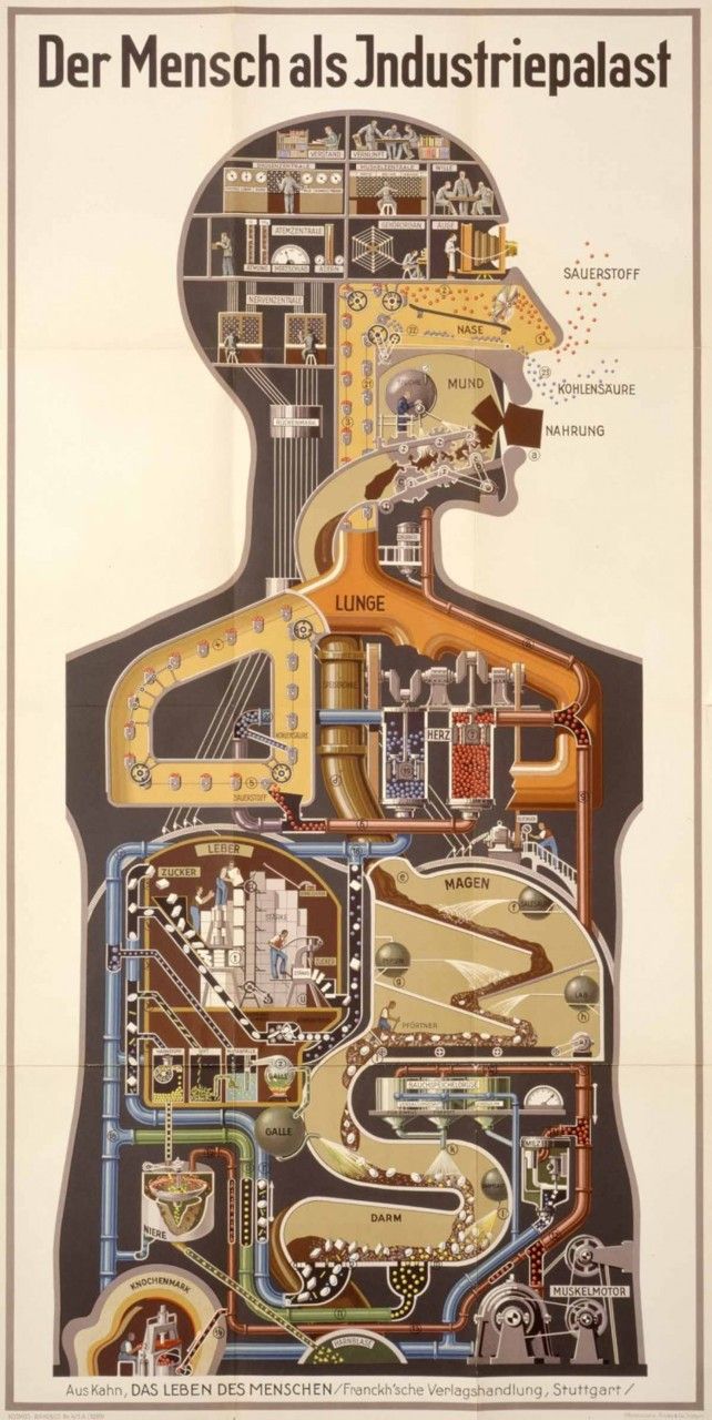 Dr. Fritz Kahn illustrated this image of the human body as if it were composed of machinery.jpg