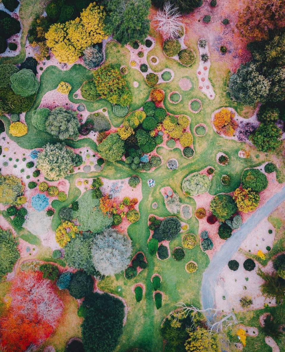 drone shot of the Botanical Garden in Mount Lofty, Australia by Bo Le.png