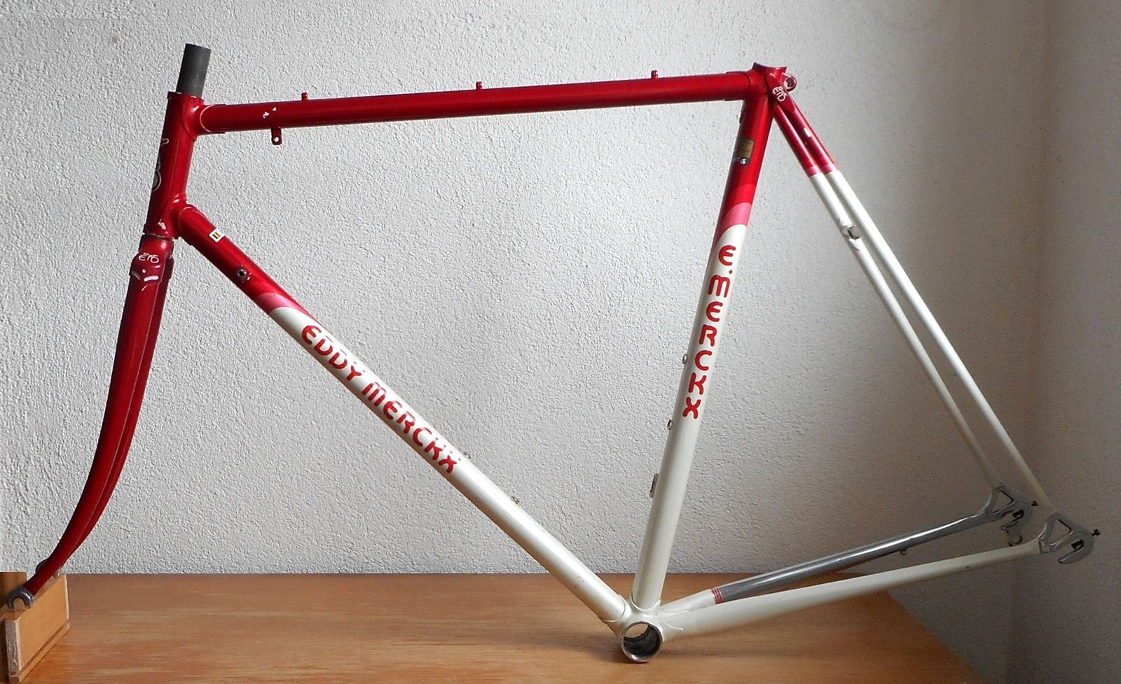 Eddy Corsa Rot_Weiss.jpg