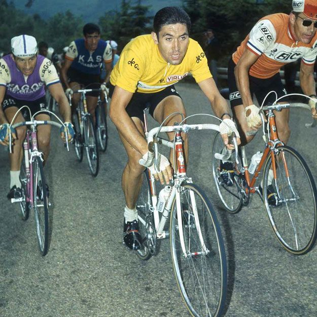 Eddy Merckx Bremszüge Wäscheleinen.jpg