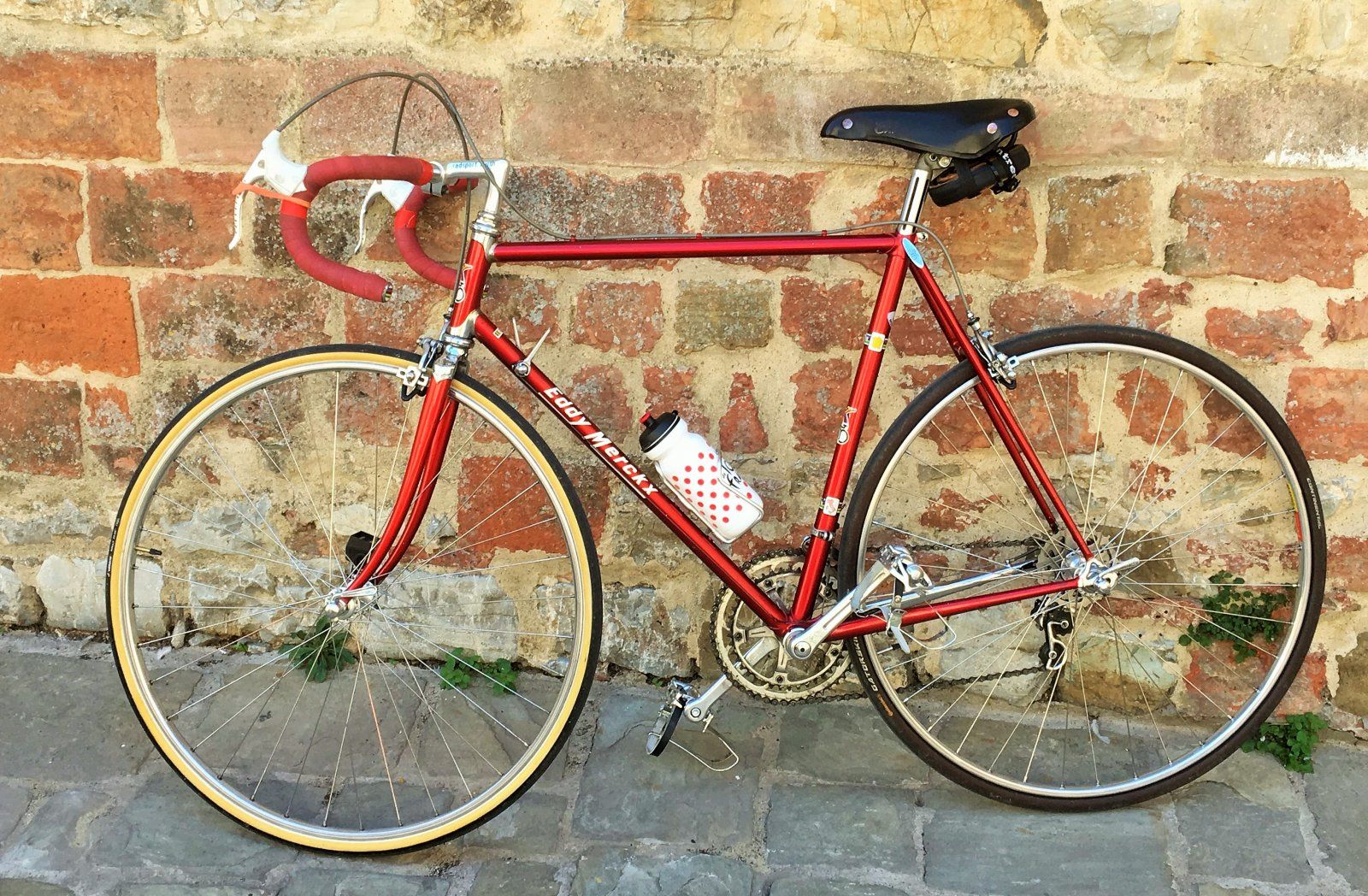 Eddy Merckx Professional 1981.jpg